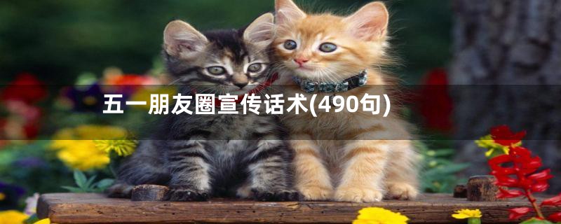 五一朋友圈宣传话术(490句)