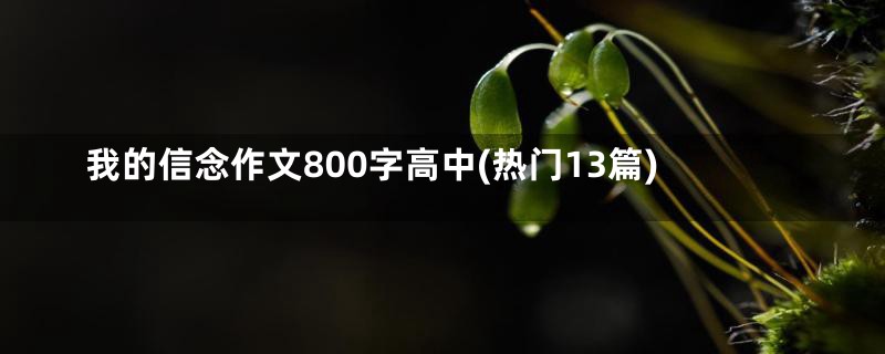 我的信念作文800字高中(热门13篇)