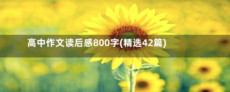 高中作文读后感800字(精选42篇)