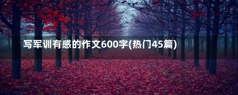 写军训有感的作文600字(热门45篇)