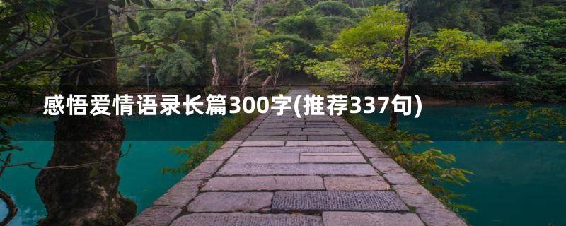 感悟爱情语录长篇300字(推荐337句)