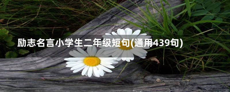 励志名言小学生二年级短句(通用439句)