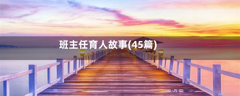 班主任育人故事(45篇)