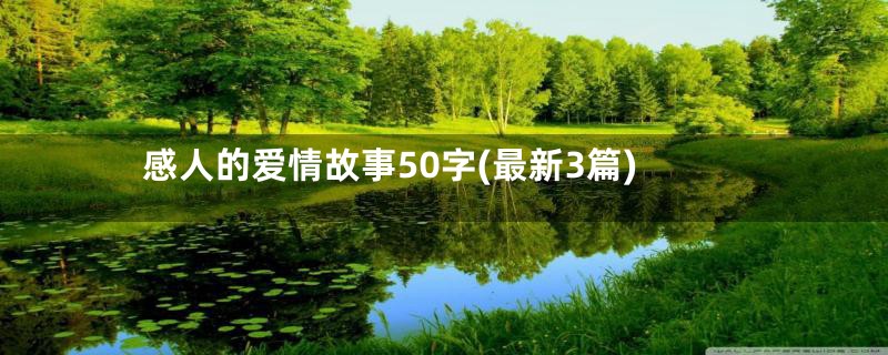 感人的爱情故事50字(最新3篇)