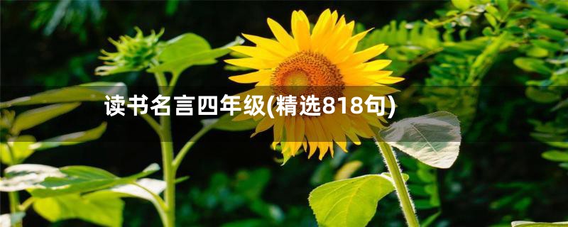 读书名言四年级(精选818句)