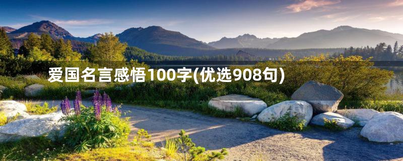 爱国名言感悟100字(优选908句)