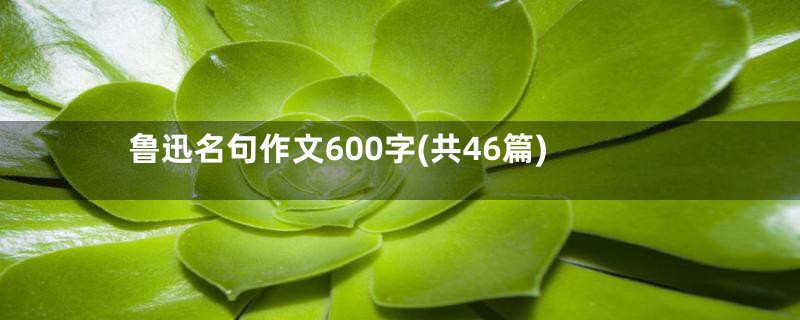 鲁迅名句作文600字(共46篇)