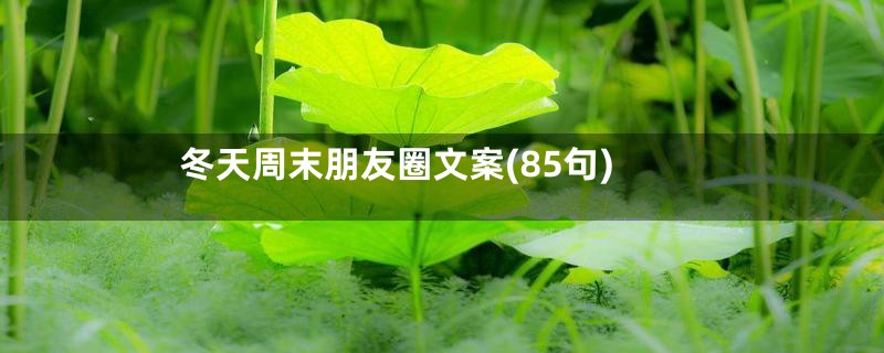 冬天周末朋友圈文案(85句)