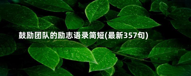 鼓励团队的励志语录简短(最新357句)