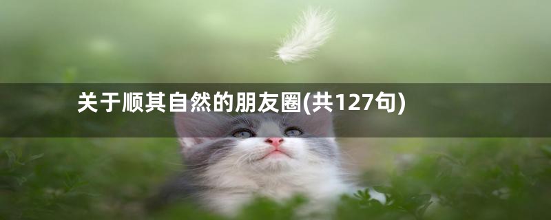 关于顺其自然的朋友圈(共127句)