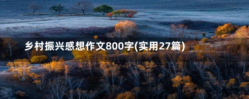 乡村振兴感想作文800字(实用27篇)