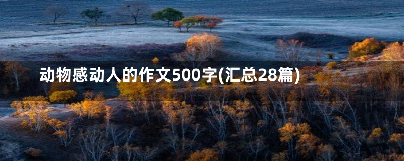 动物感动人的作文500字(汇总28篇)