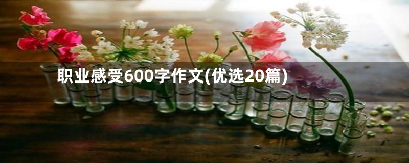 职业感受600字作文(优选20篇)