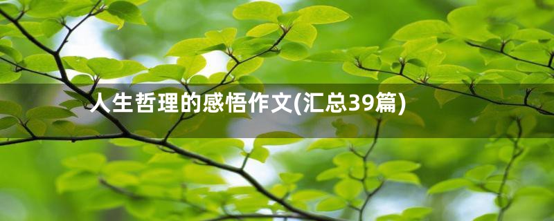 人生哲理的感悟作文(汇总39篇)