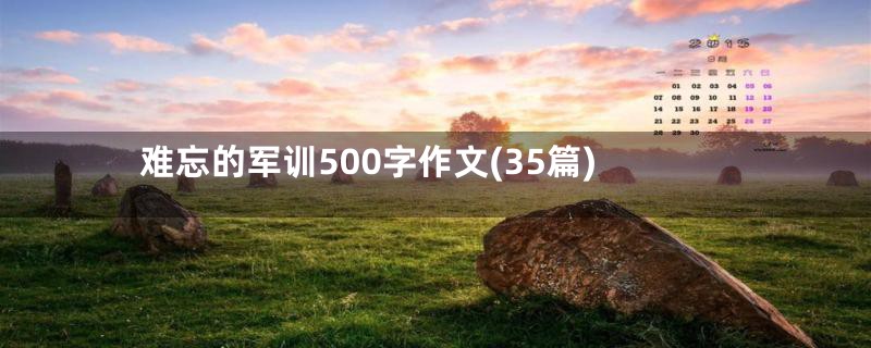 难忘的军训500字作文(35篇)