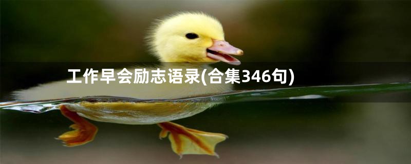 工作早会励志语录(合集346句)