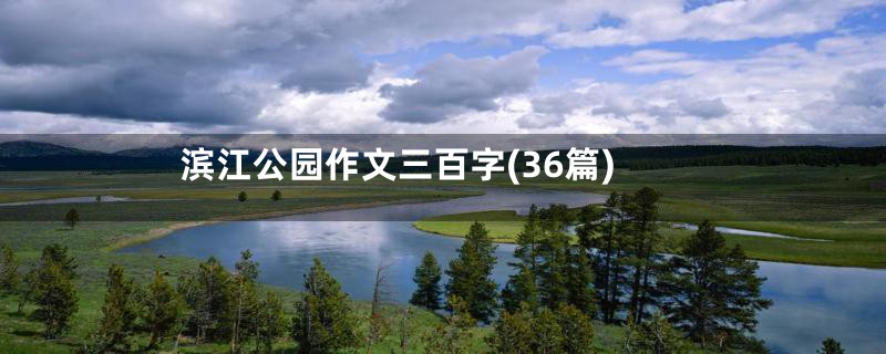 滨江公园作文三百字(36篇)