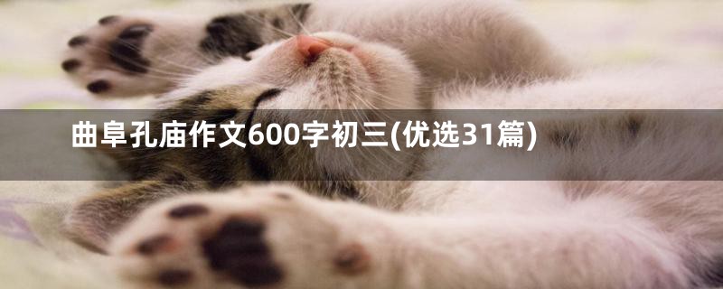 曲阜孔庙作文600字初三(优选31篇)