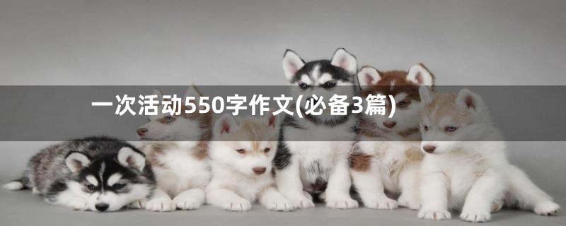 一次活动550字作文(必备3篇)