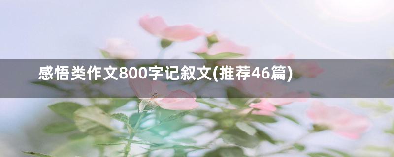 感悟类作文800字记叙文(推荐46篇)