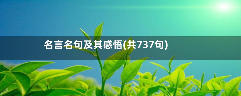 名言名句及其感悟(共737句)