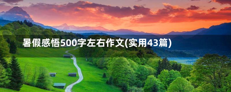 暑假感悟500字左右作文(实用43篇)