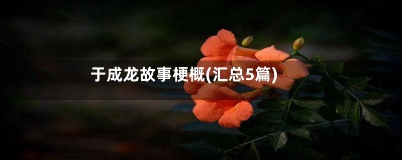 于成龙故事梗概(汇总5篇)