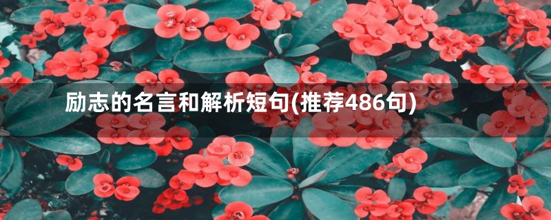 励志的名言和解析短句(推荐486句)