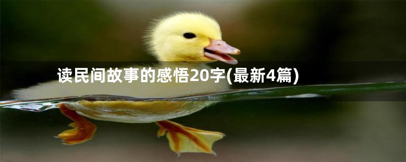 读民间故事的感悟20字(最新4篇)