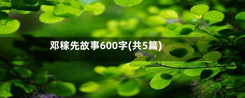 邓稼先故事600字(共5篇)