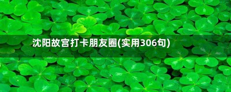 沈阳故宫打卡朋友圈(实用306句)