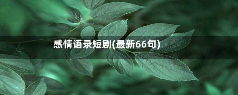 感情语录短剧(最新66句)