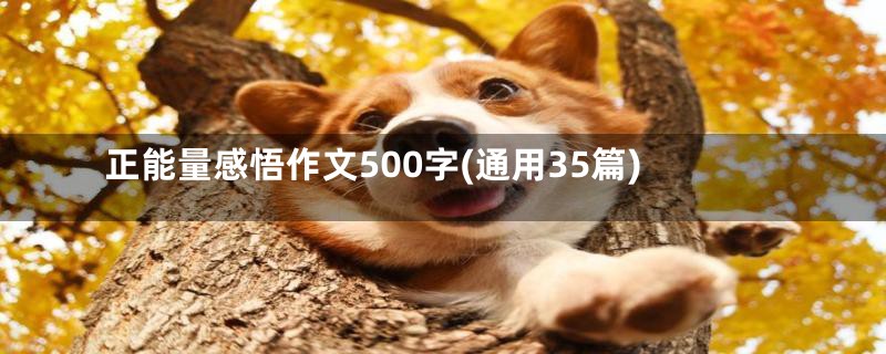 正能量感悟作文500字(通用35篇)