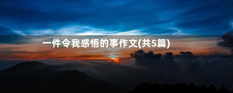 一件令我感悟的事作文(共5篇)