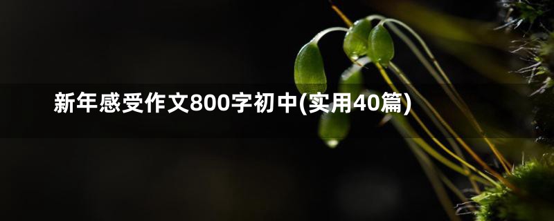 新年感受作文800字初中(实用40篇)