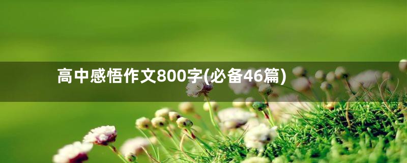 高中感悟作文800字(必备46篇)