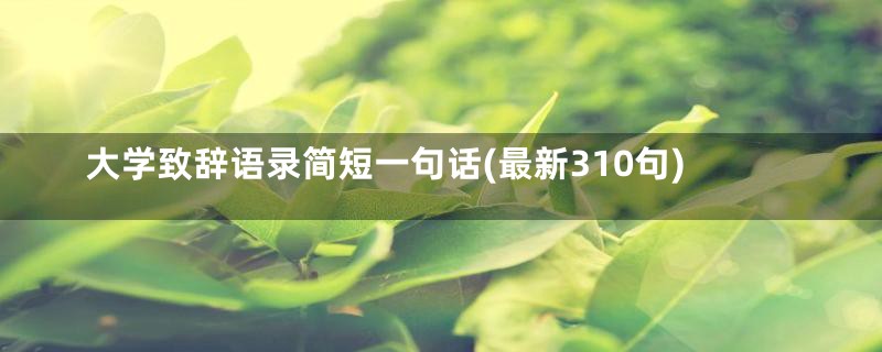 大学致辞语录简短一句话(最新310句)