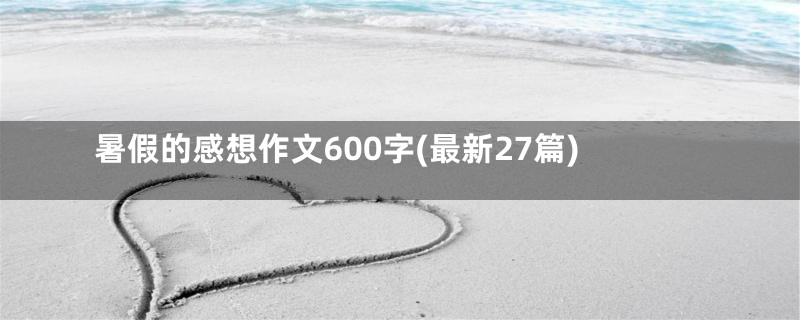 暑假的感想作文600字(最新27篇)