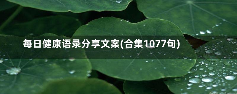 每日健康语录分享文案(合集1077句)