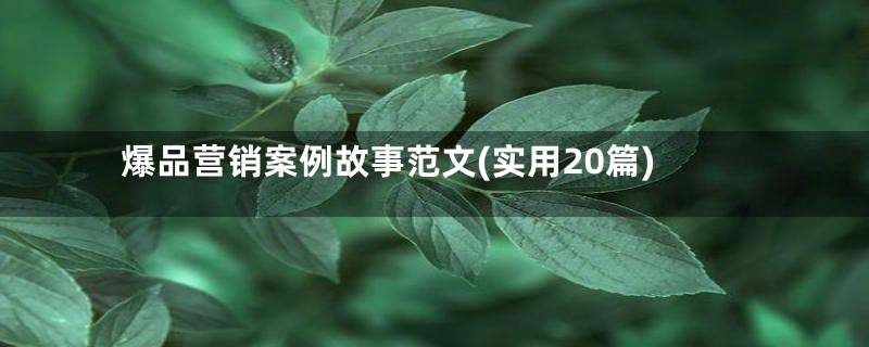 爆品营销案例故事范文(实用20篇)