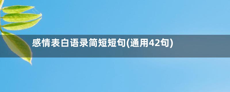 感情表白语录简短短句(通用42句)