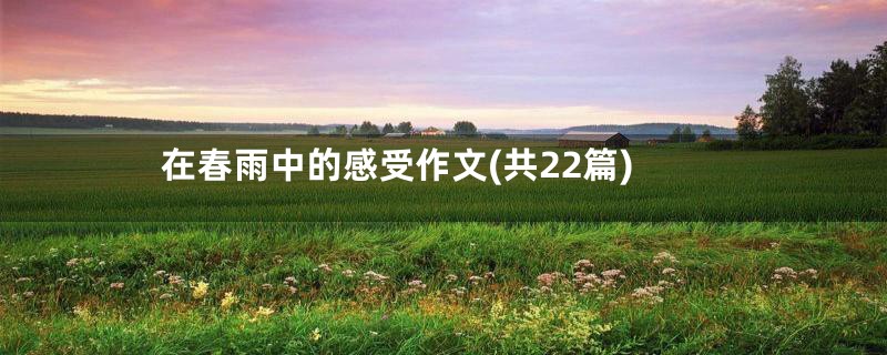 在春雨中的感受作文(共22篇)