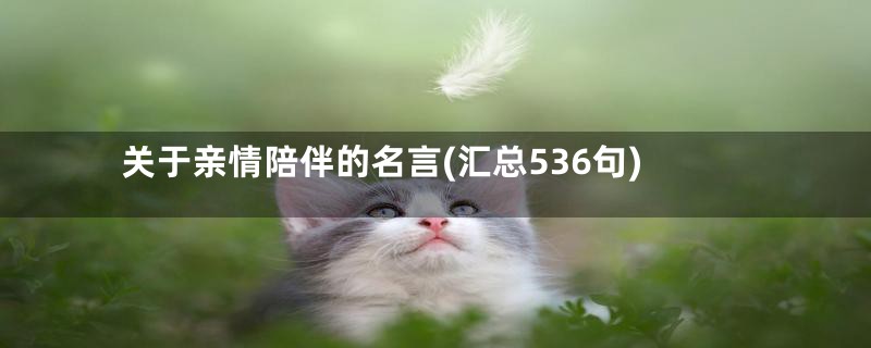 关于亲情陪伴的名言(汇总536句)