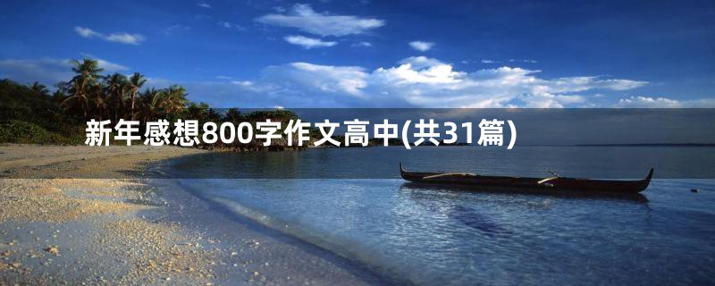 新年感想800字作文高中(共31篇)