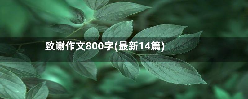 致谢作文800字(最新14篇)