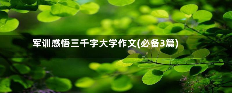 军训感悟三千字大学作文(必备3篇)