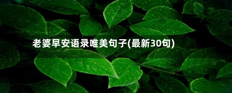 老婆早安语录唯美句子(最新30句)