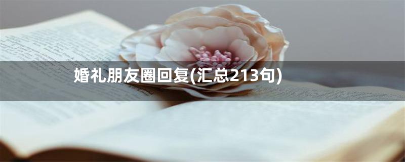 婚礼朋友圈回复(汇总213句)