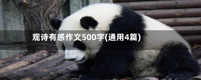 观诗有感作文500字(通用4篇)