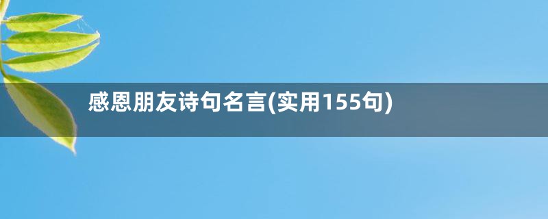 感恩朋友诗句名言(实用155句)